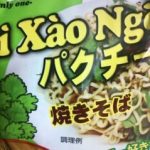 パクチー焼きそば　初体験